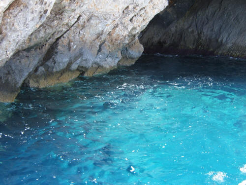 Zante